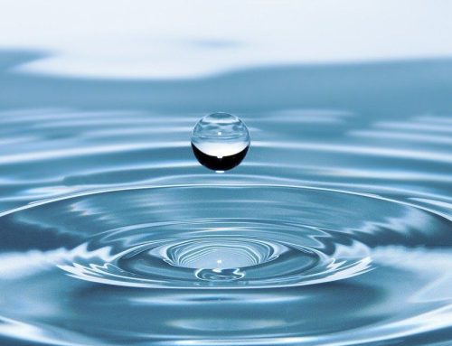 Weltwassertag 22. März 2024: Wasser für den Frieden